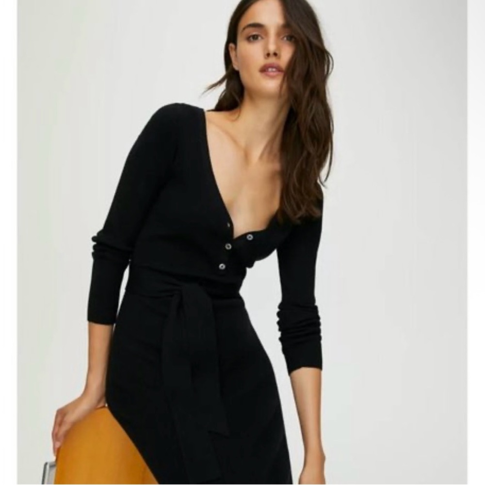 Aritzia Henley Sweater Dress